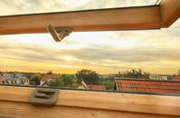 rated Monmouth roof window companies